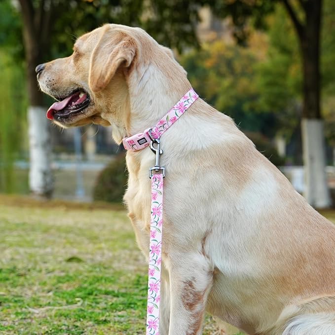 Dog Collar Leash Set, Floral Pattern, Polyester Material, Adjustable Collar and 5ft Matchcing Leash, 5ft Leash, for Small Dogs.(S, Pink Lily)