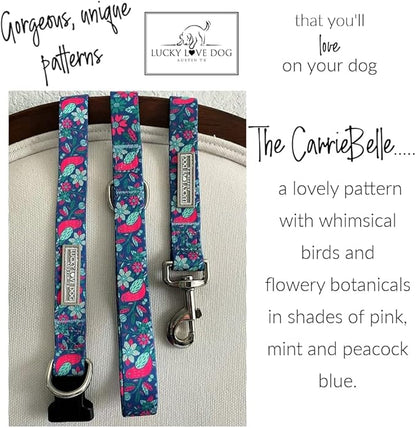 Lucky Love Dog - Easy Click Buckle Dog Collar with Leash Set Combo, Durable & Comfortable for Male & Female Dogs, Pet Collar for Large Dogs, Secure Fit - Carriebelle Martingale Combo, Large