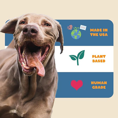 Petipet Dog Allergy Relief Soft & Chewy Chews - Quercetin + Omega 3 - Natural Antihistamine for Itching, Paw Licking, Seasonal and Grass Allergies - for Itchy Skin, Hot Spots, Immune Support