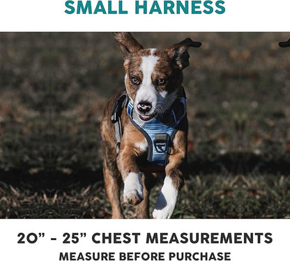 Embark Adventure Small Dog Harness – No-Pull, Reflective Trim, Military-Grade Nylon, Front Clip with Gel-Lined Handle