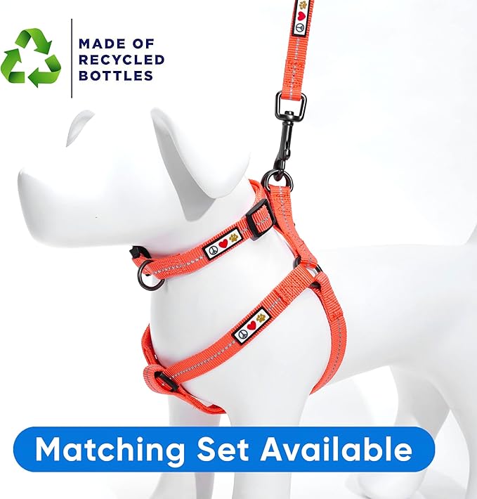Pawtitas Coral Dog Leash 6 ft XS/S Reflective Durable Lightweight Recycled Lead for Small Dogs and Puppies