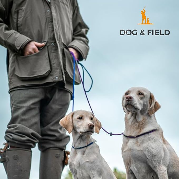 Dog & Field Signature Slip Lead for Dogs, Royal Blue. 4ft Lightweight Dog Slip Leash with Sliding Rubber Stopper. Training Lead for Dogs, Thin Slip Lead, No Collar or Harness Needed (Royal Blue)