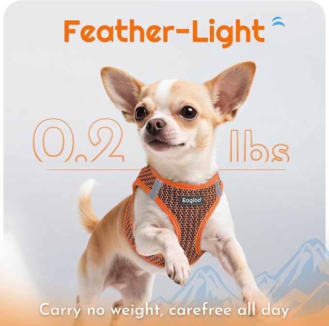 Eagloo Small Dog Harness and Leash Set, Step in Puppy Vest with Breathable Soft Mesh, Walking Reflective Pet Harness for Small Dogs, Orange, XXS