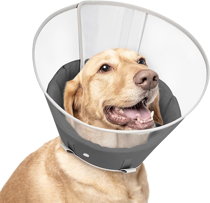 Dog Cone Collar with Snap-on Detachable Soft Liner, Lightweight Transparent Elizabethan Alternative to Stop Licking, for Spay Neuter Surgery Recovery, for Medium Large Small Dogs (Light Black,XL)