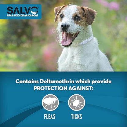 SALVO Flea and Tick Collar for Dogs - Pack of 2 for 12 Months of Protection - Flea and Tick Prevention for Dogs (Small/Medium)