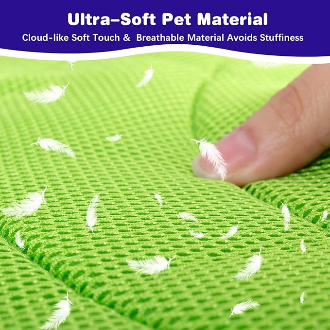 Soft Dog Cone for Dogs After Surgery, Breathable Pet Recovery Collar with Double-Layer Design (Green-Blue, L+)
