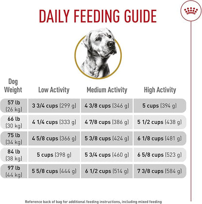 Royal Canin Labrador Retriever Adult Dry Dog Food, 30 lb bag