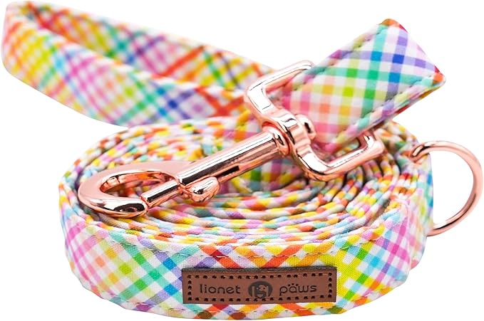 Lionet Paws Dog Leash and Matching Collar for Small to Large Dogs
