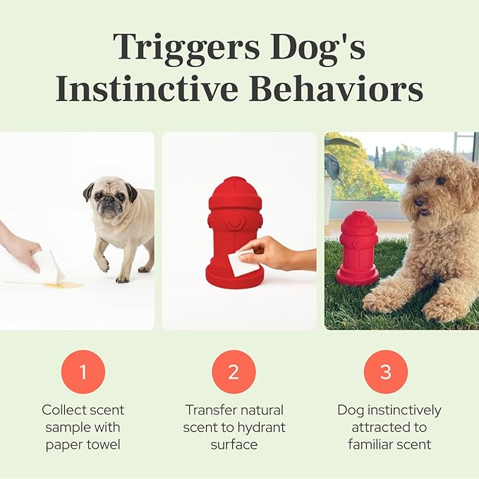 Small Dog Fire Hydrant 4x7 Silicone Soft Potty Training Aid for Small Breeds Under 10lbs Toy Breeds Indoor Outdoor Training Grey
