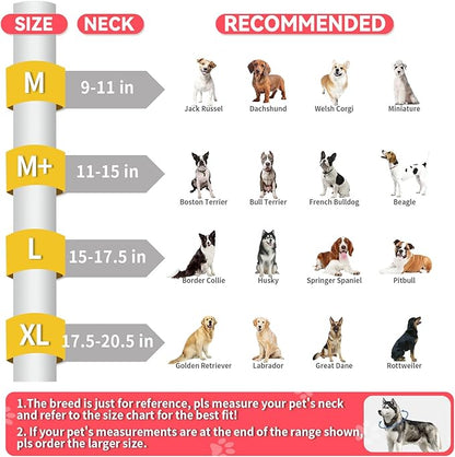 Upgraded Inflatable Dog Cone Collar for Dogs After Surgery,Adjustable Soft Elizabethan Collar for Medium Large Dogs,Comfortable Dual-Ring Dog Cone with Detachable Transparent Anti-Licking Shield（M
