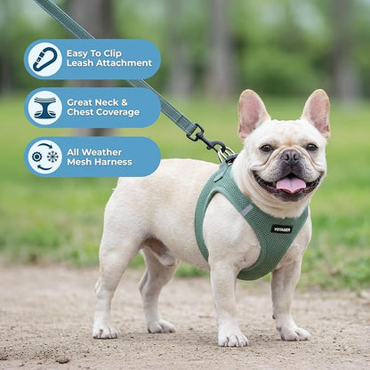Best Pet Supplies Voyager Step-in Air All Weather Mesh Harness and Reflective Dog 5ft Leash Combo with Neoprene Handle, for Small, Medium and Large Breed Puppies - Set (Moss Green), X-Large
