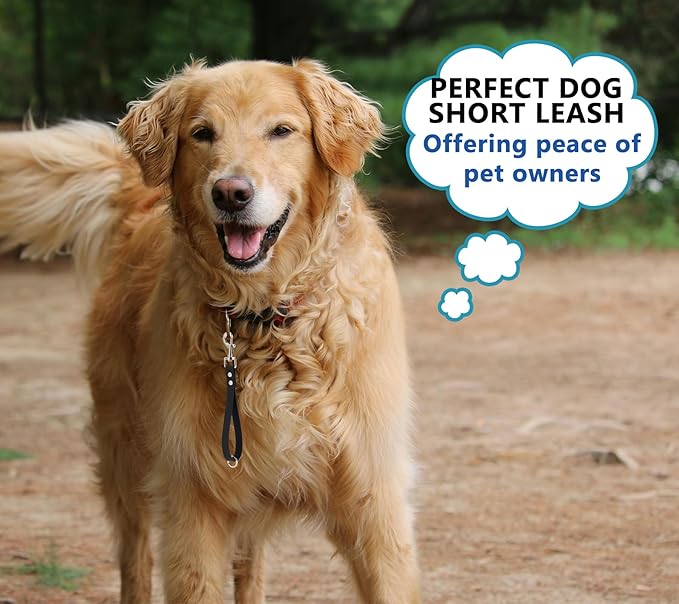 Short Dog Leash - 9 Inch Dogs Lead Grab Tab Heavy Duty Waterproof PVC Dog Training Traffic Leashes for Safety Control Behavior Correction Hiking Backup & All Breeds (Lavender, 9")