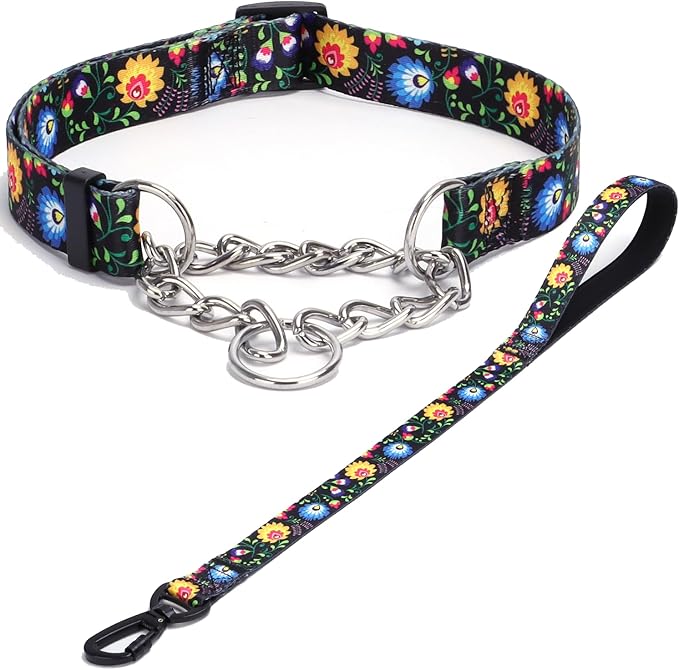 Martingale Dog Collar and Leash Set, Stainless Steel Chain, No Pull Training Collar with Flower Design, for Small, Medium, Large Dogs (NO22, L)
