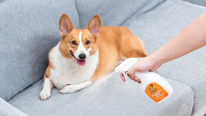 Wags & Wiggles No Marking Deterrent Training Spray for Dogs - Indoor Dog Pee Repellent & Behavior Aid, Anti Pee & Urine Deterrent, No More Marking, Ideal for Potty Training, 16 Fl Oz - 6 Pack