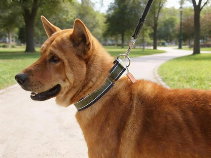 Martingale Collar 1.5 Inch Wide 1600D Extra Strong Anti Escape Nylon Dog Collar, No Pull Heavy Duty Dog Collar with 3-Color Stripe for Large to XLarge Dogs (XLarge, Army Green & Gray)
