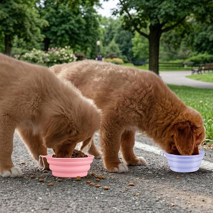 Kytely Collapsible Dog Bowls for Travel, 2Pack Dog Portable Water Bowl, Foldable Pet Food Bowl with Clasp, Pet Cat Feeding Cup Dish for Traveling, Walking, Hiking