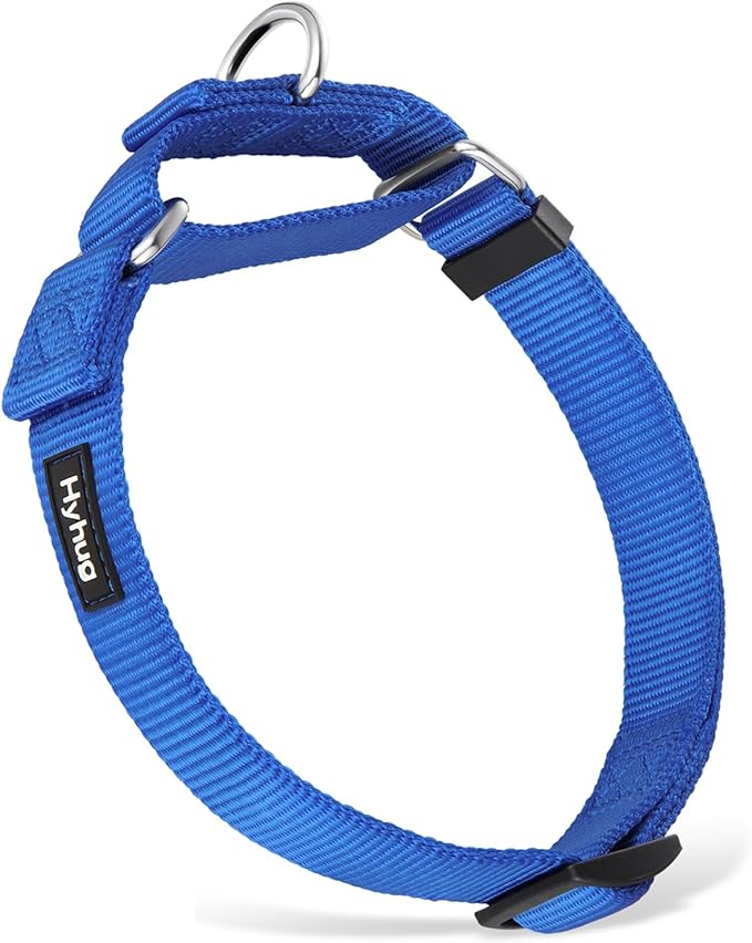 Hyhug Martingale Collar for Dogs Large Blue |Escape - Proof Heavy Duty Nylon Durable No Pull, Ideal for Training & Daily Walks