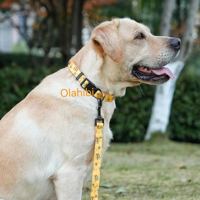 Dog Collar Leash Set, Busy Bee Pattern, 5ft Matching Leash, Polyester Material, 4 for Small Medium Large Dogs.(S, Bee)