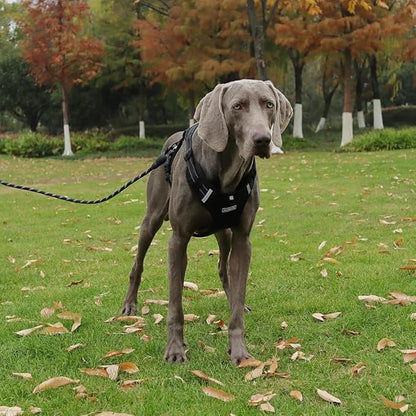 Dog Harness No Pull Adjustable Reflective,for Medium and Large Small Dog with Leash 59.06in (Black, L)