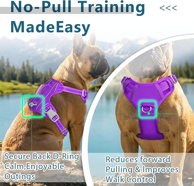 BARKBAY Dog Harness No Pull with ID Tag Pocket - Heavy Duty, Reflective, Easy Control for Large Dogs(Purple,L)