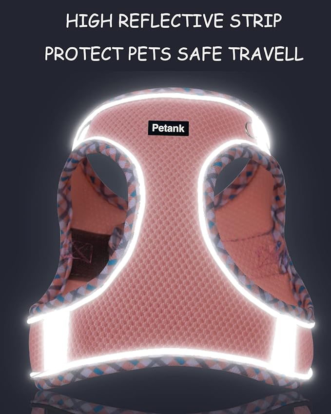 Petank Dog Harness for Small Medium Dogs No Pull, Puppy Harness and Leash Set, Step in Dog Harness for Walking, Running, Training, Small Dog Vest(Green, XXS)