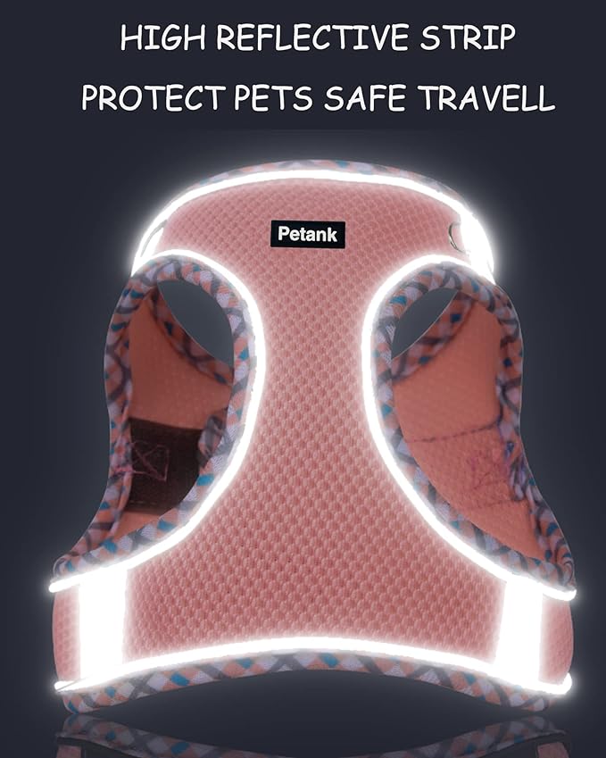 Petank Dog Harness for Small Medium Dogs No Pull, Puppy Harness and Leash Set, Step in Dog Harness for Walking, Running, Training, Small Dog Vest(Purple, S)