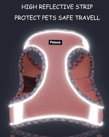 Petank Dog Harness for Small Medium Dogs No Pull, Puppy Harness and Leash Set, Step in Dog Harness for Walking, Running, Training, Small Dog Vest, Medium Dog Vest (Bule, M)