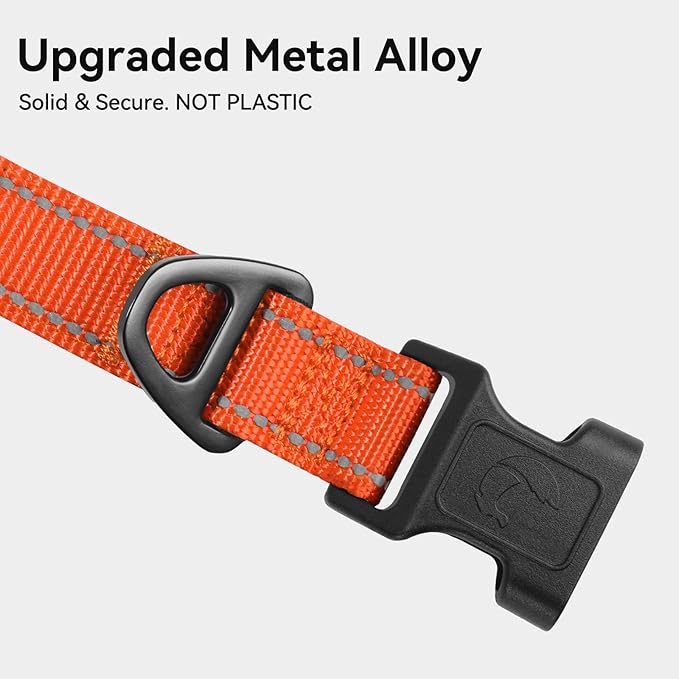 Joytale Reflective Dog Collar, Soft Neoprene Padded, Metal D-Ring, Nylon Pet Collar Adjustable for Medium Dogs, Orange, M