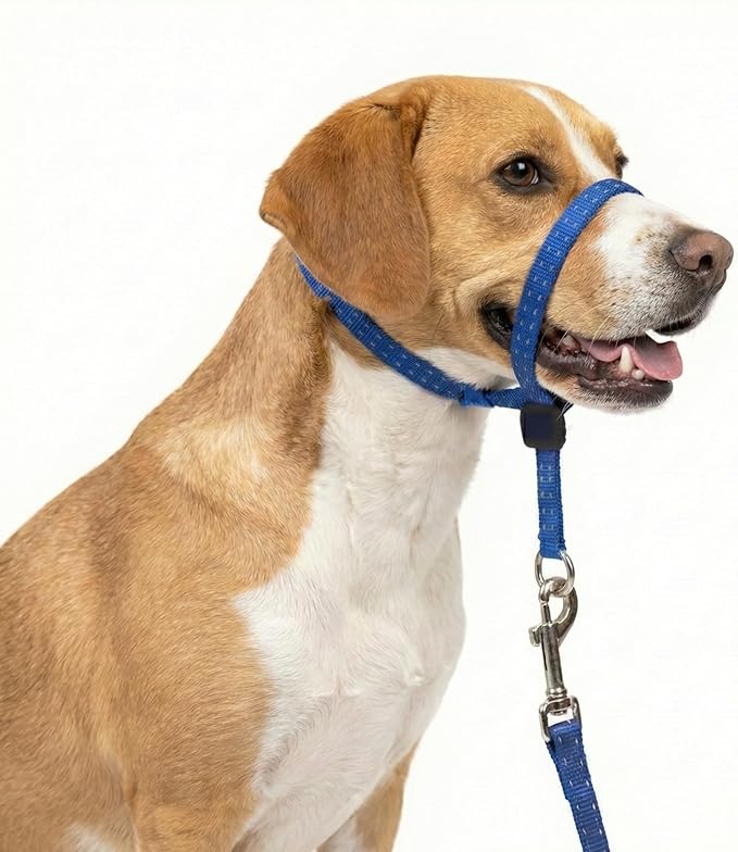 Headcollar for Dogs, Extra Soft Padded, Reflective, No Pull Dog Collar, Gentle Leader for Dogs with Durable Nylon Leash, Padded Handle - Navy Blue (Medium)