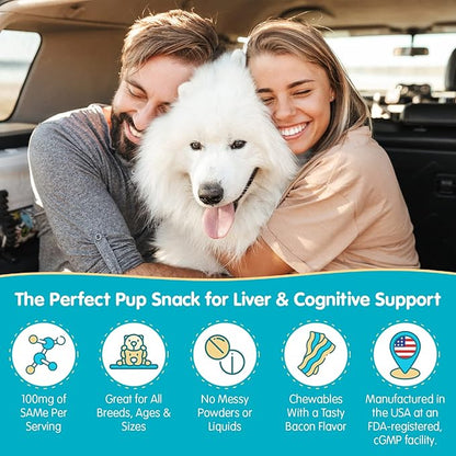 Wanderfound Pets Same 100 Liver Support for Dogs - Same S-Adenosyl-L-Methionine Hepatic Supplement for Liver & Brain Support - Bacon Flavored Sam E, Manufactured in the USA - 30 Chewable Tablets