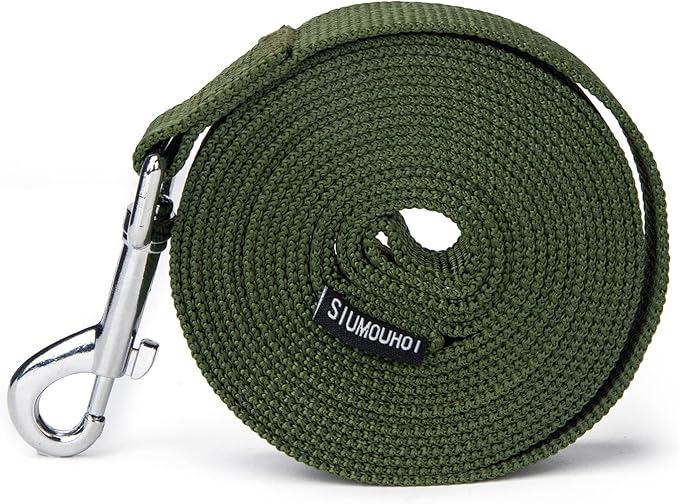 Strong Durable 6 ft Nylon Dog Training Leash, 1 Inch Wide Traction Rope, for Small and Medium Dog (Military Green, 6 Feet)