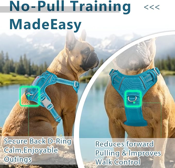 BARKBAY Dog Harness No Pull Oxford with ID Tag Pocket - Heavy Duty, Reflective, Easy Control for Large Dogs(Aqua Oxford,L)