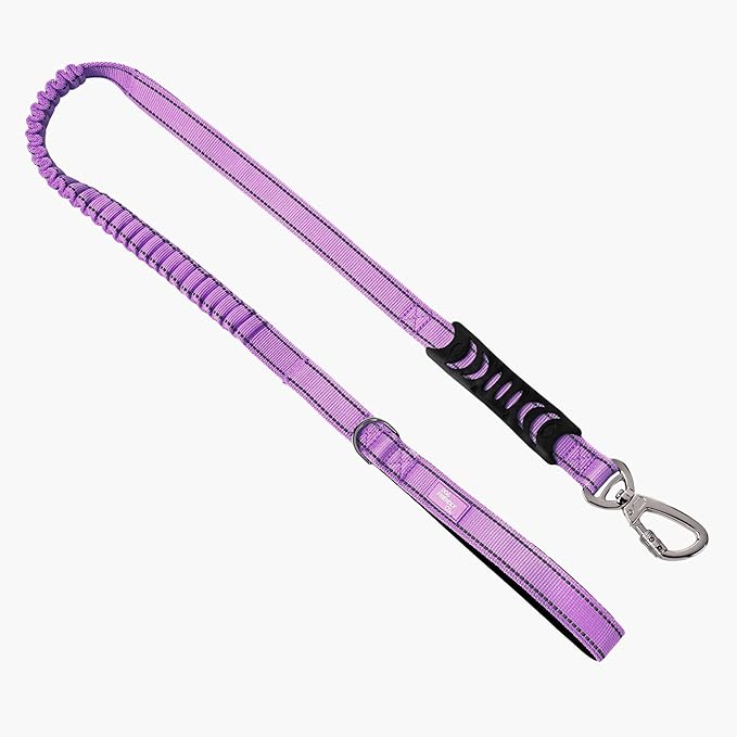 Dog Friendly Co. Bungee Dog Leash | Strain Free & Shock Resistant for Control | Neoprene Padded Handle, Heavy-Duty Carabiner Clip, and D-Ring | Purple, Size Regular