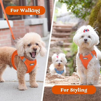 rabbitgoo Small Dog Harness, Step-in Soft Mesh Puppy Vest with Safety Buckle, Breathable Reflective Pet Harness for Small Medium Dogs, Orange L