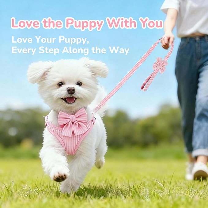 Small Dog Collar Harness and Leash Set, Dog Harness no Pull with Bowtie, Breathable Cotton Adjustable Pet Puppy Harness, Easy Walk Dog Harness, S(14–18.9")