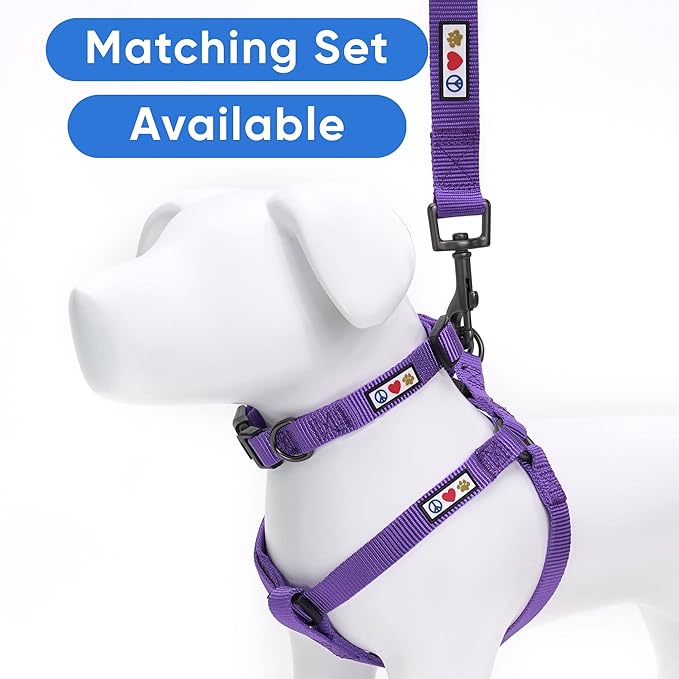 Pawtitas Solid 6 ft Purple Dog Leash M/L Custom Name and Phone Embroidery Strong Nylon Leash for Medium and Large Breeds