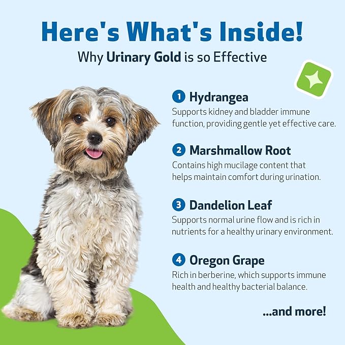 Pet Wellbeing Urinary Gold for Dogs - Vet-Formulated Multi-Herb Urinary Tract Support - Bladder Health & Urinary System Wellness - Natural Dog Supplement - Liquid Formula 2 oz (59ml)