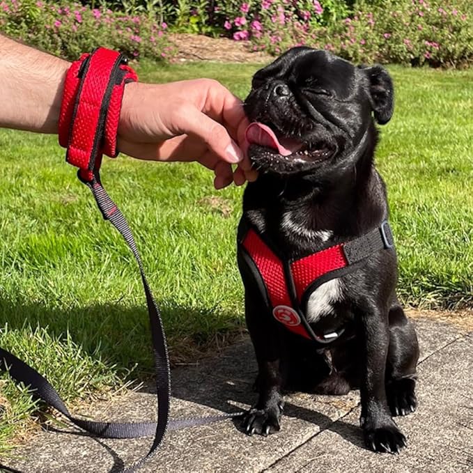 Gooby Soft Mesh Wrist Band Surfer Leash - Red, 6 FT - Comfortable Hands Free Leash with Elastic Band for Small, Medium and Large Dogs