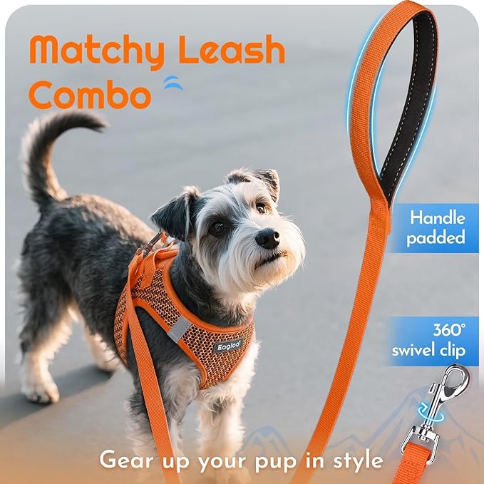 Eagloo Small Dog Harness and Leash Set, Step in Puppy Vest with Breathable Soft Mesh, Walking Reflective Pet Harness for Small Dogs, Orange, L