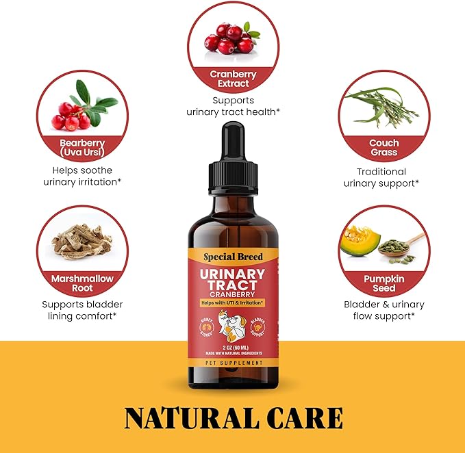 Cat & Dog Urinary Tract Infection Treatment – Natural UTI Relief with Cranberry Drops – Kidney & Bladder Support – Helps Incontinence, Frequent Urination, Bladder Stones – Pet Renal Care Drops