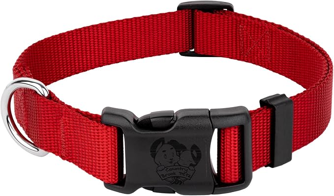 Country Brook Petz - Everyday Nylon Dog Collar for Large, Medium, and Small Dogs and Puppies - for Everyday Use in 10+ Warm Colors (Large, 1 Inch Wide, Red)