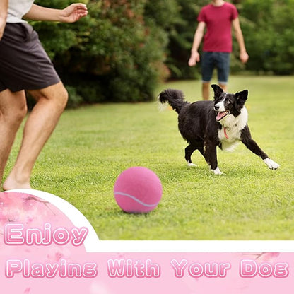 Banfeng Big Tennis Ball for Dogs, Giant Dog Tennis Ball Toy Large Outdoor Sports Gift for Small Medium Large Dog (Pink, 9.5 inch)