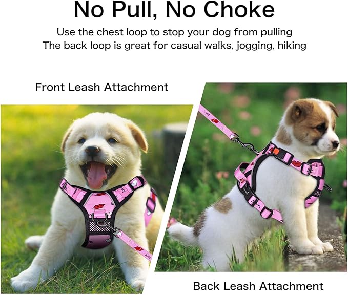 Petmolico No Pull Dog Harness Set with Leash Attachment Easy Control Handle Reflective Harness Vest Small Breed, Puppy Vest and Leash Set with Poop Bag Holder, Medium - Red Lips