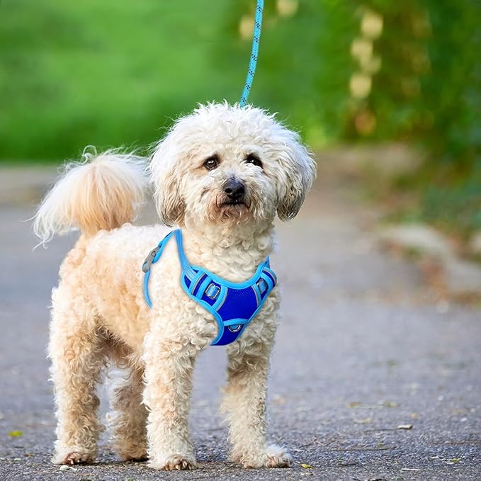 BARKBAY No Pull Dog Harness Large Reflective Dog Harness with Front Clip and Easy Control Handle for Walking Training Running with ID tag Pocket(Sapphire Blue & Blue,XS)