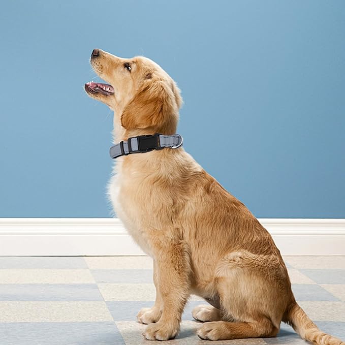 Reflective Dog Collar, Adjustable Soft Neoprene Padded Nylon Pet Collars with Buckle for Extra Large Dogs, Gray,XL
