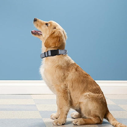 Reflective Dog Collar, Adjustable Soft Neoprene Padded Nylon Pet Collars with Buckle for Extra Large Dogs, Gray,XL