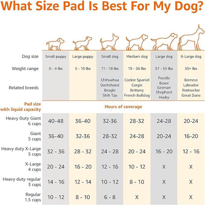 Amazon Basics Leak-Proof Dog and Puppy Potty Training Pee Pads with Quick-Dry 5-Layer Design, X-Large Size 28 x 34 Inch, Blue & White, 40-Pack