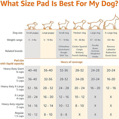 Amazon Basics Scented Dog and Puppy Potty Training Pee Pads, 5-Layer Leak-Proof Super Absorbent with Quick-Dry Surface, Regular Size 22 x 22 Inch, Blue & White, 100 Count