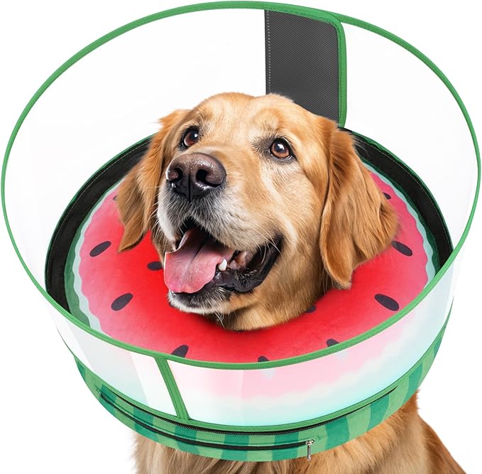 Inflatable Dog Cone with Anti-Licking Clear Shield, Protective Dog Donut Collar After Surgery, Adjustable Soft Recovery Cone for Pets, Alternative Collar with Buckle Strap (Watermelon, XL)