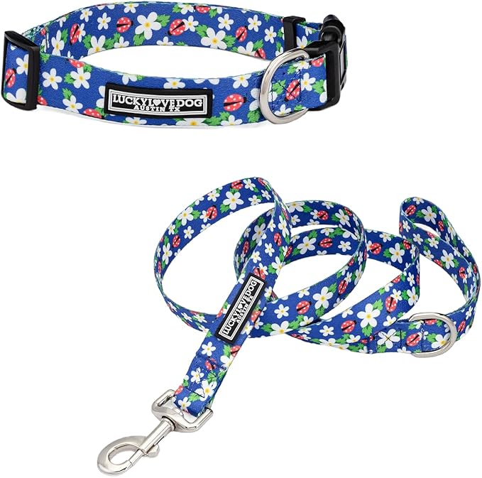 Lucky Love Dog - Easy Click Buckle Dog Collar with Leash Set Combo, Durable & Comfortable for Male & Female Dogs, Pet Collar for Small Dogs, Secure Fit - Lilian Combo, Small
